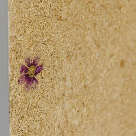 Birkenhof - Ferienhof, Landcafe Und Roesterei Appartement Schmallenberg