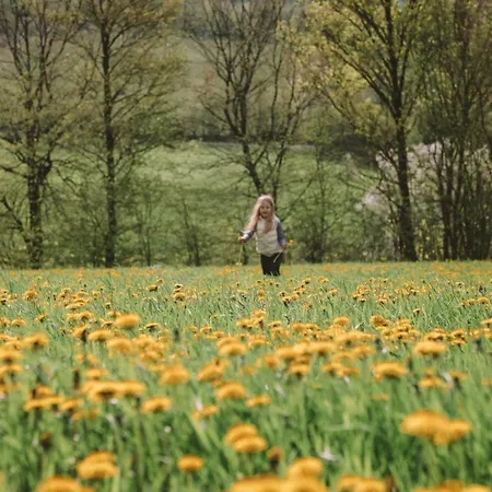 Birkenhof - Ferienhof, Landcafe Und Roesterei *