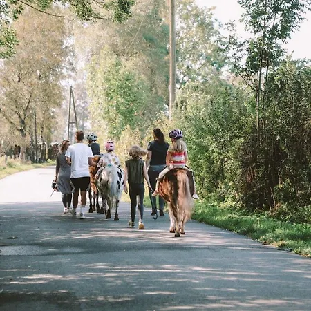 Appartement Birkenhof - Ferienhof, Landcafe Und Roesterei