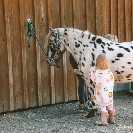 Birkenhof - Ferienhof, Landcafe Und Roesterei Appartement