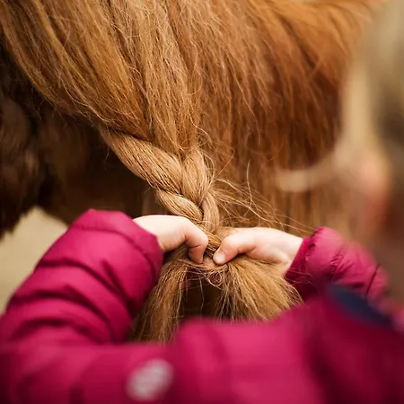 Birkenhof - Ferienhof, Landcafe Und Rösterei * Schmallenberg