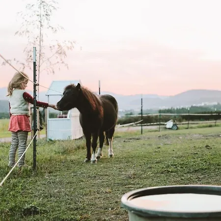 Birkenhof - Ferienhof, Landcafe Und Rösterei Lejlighed *