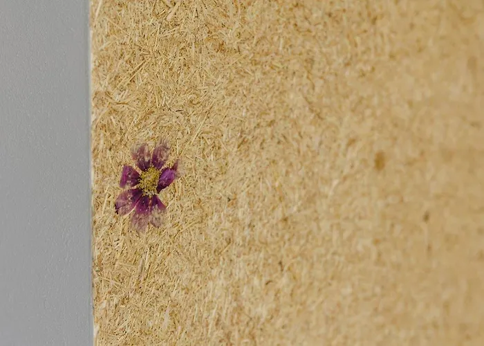 Birkenhof - Ferienhof, Landcafe Und Roesterei 公寓 施马伦贝格