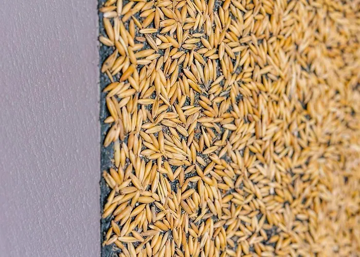 公寓 Birkenhof - Ferienhof, Landcafe Und Roesterei