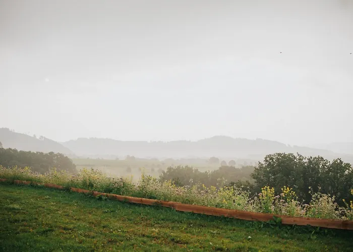 Birkenhof - Ferienhof, Landcafe Und Roesterei 施马伦贝格