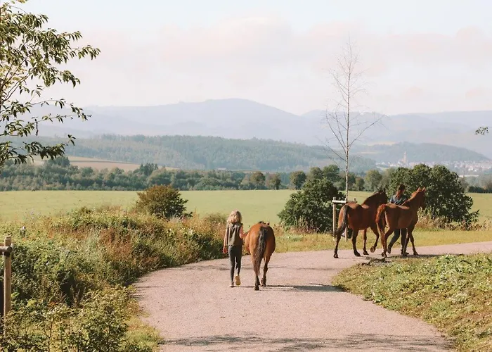 Birkenhof - Ferienhof, Landcafe Und Roesterei 公寓