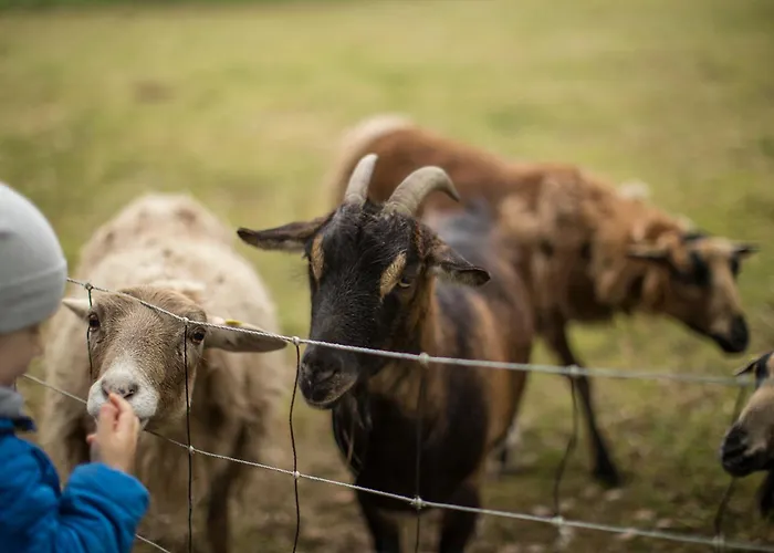 公寓 Birkenhof - Ferienhof, Landcafe Und Roesterei 施马伦贝格