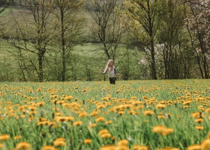 Birkenhof - Ferienhof, Landcafe Und Roesterei *