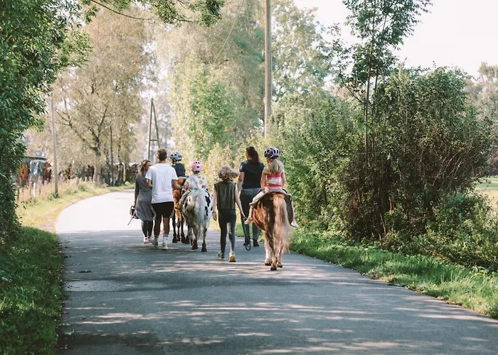 公寓 Birkenhof - Ferienhof, Landcafe Und Roesterei