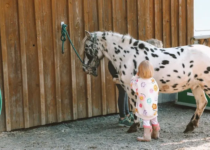 Birkenhof - Ferienhof, Landcafe Und Roesterei Apartman