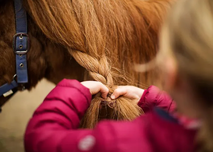 Birkenhof - Ferienhof, Landcafe Und Roesterei * 施马伦贝格